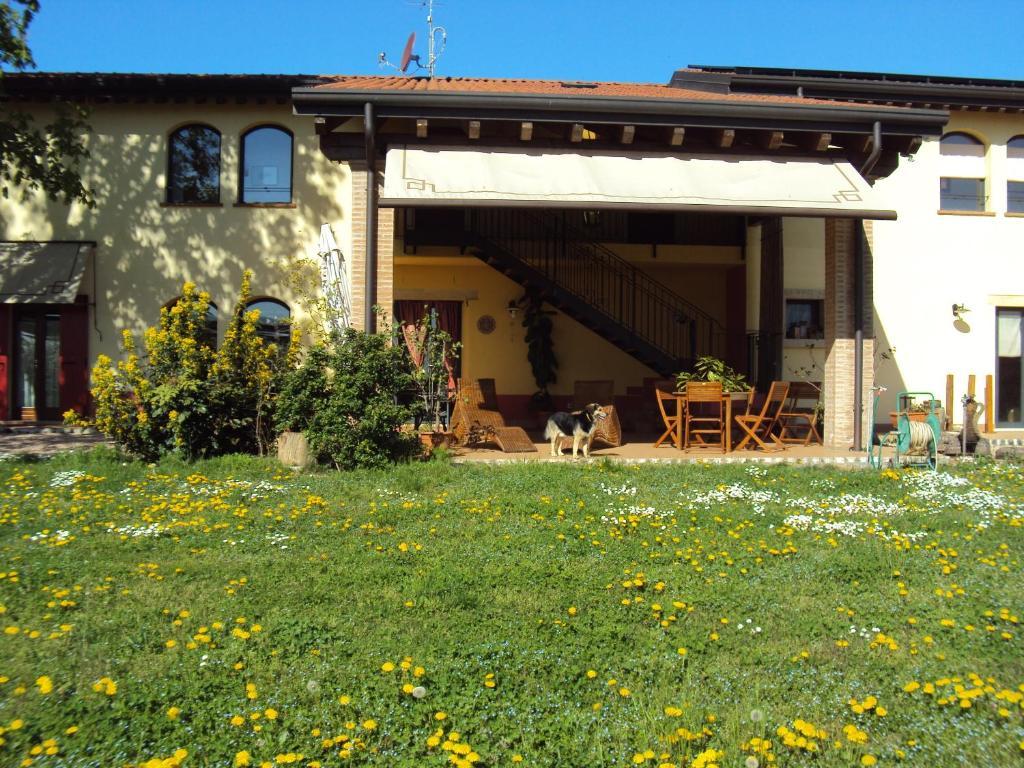 Agriturismo Ca' Del Ferro Zevio Exterior photo